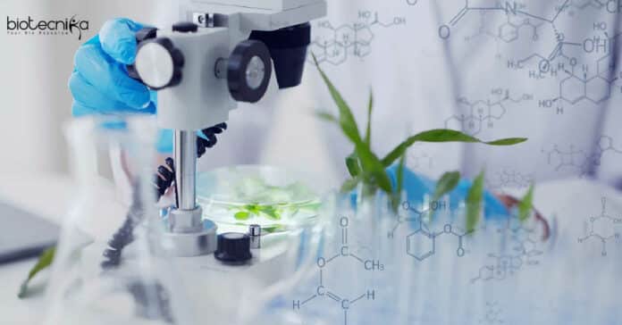 NBRI Plant Sciences