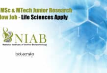 NIAB MSc & MTech Junior Research Fellow Job – Life Sciences Apply NIAB JRF