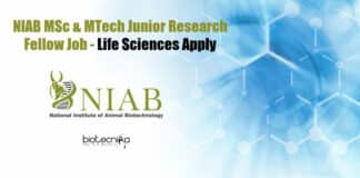 NIAB JRF