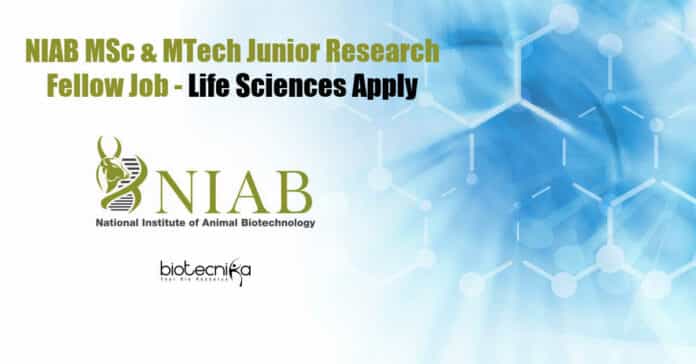 NIAB JRF