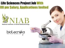 NIAB Project Associate Vacancy