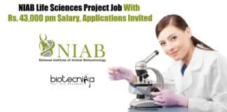 NIAB Project Associate Vacancy