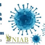 Govt NIAB Senior Research Fellow Job Vacancy – Online Applications NIAB SRF Vacancy