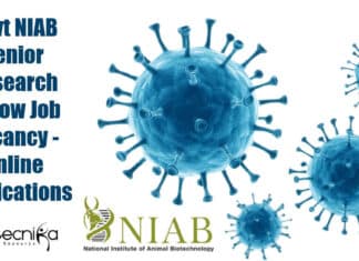 Govt NIAB Senior Research Fellow Job Vacancy – Online Applications NIAB SRF Vacancy