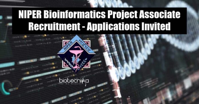 NIPER Bioinformatics Project Associate