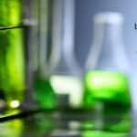 NIPGR PhD Research Job