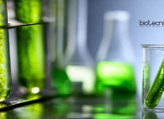 NIPGR PhD Research Job