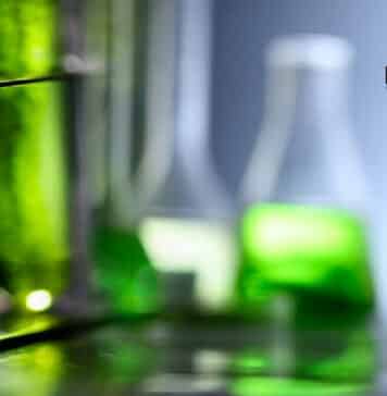 NIPGR PhD Research Job