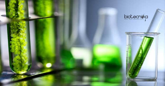 NIPGR PhD Research Job