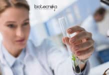 NIPGR Biotech, Biochem, Life Science & Microbiology Research Fellow NIPGR SRF Post