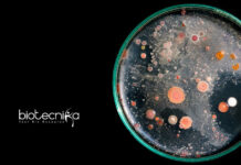 NIT Rourkela MSc & MTech Life Sciences Research Fellow Job NIT Rourkela MSc