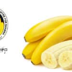 NRCB Junior Research Fellow Jobs For Biotech & Molecular Biology NRCB Junior Research Fellow