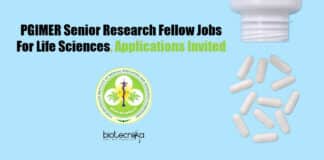 PGIMER Fellow Jobs