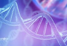 PGIMER Dept of Biochemistry JRF Job Opening – Applications Invited PGIMER Job Opening