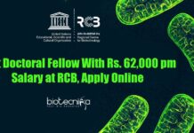 Post Doctoral Fellow With Rs. 62,000 pm Salary at RCB, Apply Online Post Doctoral Fellow Jobs