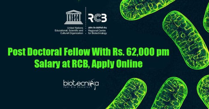 Post Doctoral Fellow Jobs