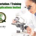 Project Dissertation & Training