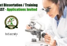 Project Dissertation & Training