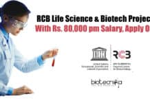 RCB Life Science & Biotech Project Job With Rs. 80,000 pm Salary, Apply Online RCB Project Scientist Job