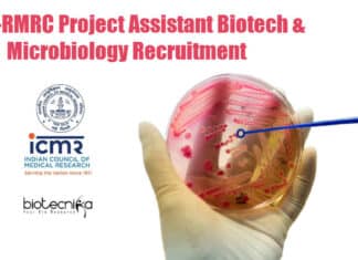 RMRC Project Jobs