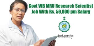 Research Scientist Job