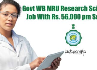 Research Scientist Job