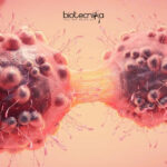 South Asian University Tumor Overexpression Project Recruitment SAU JRF Job