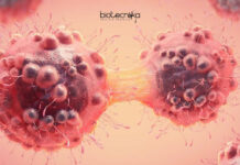 South Asian University Tumor Overexpression Project Recruitment SAU JRF Job