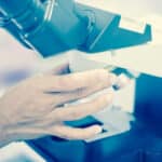 SRM Postdoctoral Position