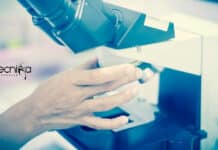 SRM Postdoctoral Position – Applications Invited From PhD SRM Postdoctoral Position