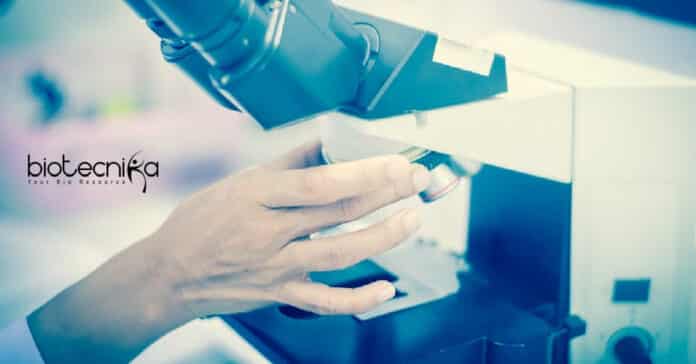 SRM Postdoctoral Position