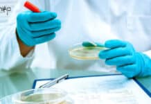 Syngene Life Sciences, Biotech & Biochem Executive Vacancy Available Syngene Quality Executive