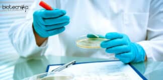 Syngene Quality Executive