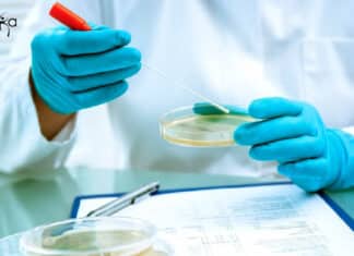 Syngene Quality Executive