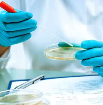 Syngene Quality Executive