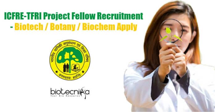 TFRI Project Fellow Jobs