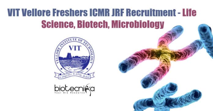 VIT Vellore Freshers