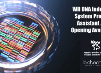WII DNA Indexing System Project Assistant Job Opening Available WII Life Science Vacancy
