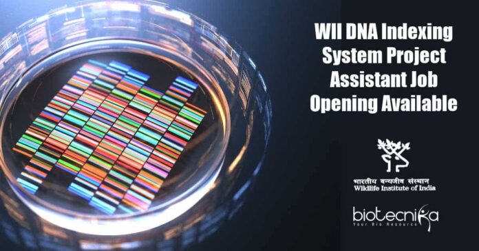 WII Life Science Vacancy