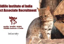 Wildlife Institute of India Project Associate Recruitment WII Project Job Opening