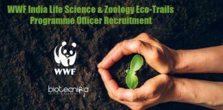 WWF India Jobs