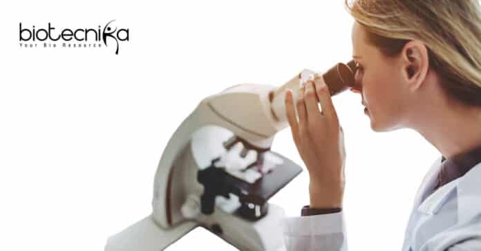 AIIMS Delhi Associate Job