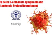 AIIMS Delhi B-cell Acute Lymphoblastic Leukemia Project Recruitment AIIMS Delhi JRF Vacancy