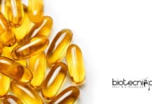 Norwegian Research Council Norway Funded Project Job at Amity, Biotech & Biochem Apply Amity Institute Project Fellow