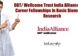 Early Career Fellowships