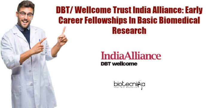 Early Career Fellowships