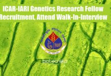 ICAR-IARI Genetics Research Fellow Recruitment, Attend Walk-In-Interview IARI Fellow Job
