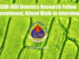 IARI Fellow Job