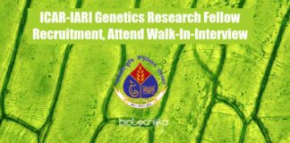 IARI Fellow Job