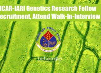 IARI Fellow Job